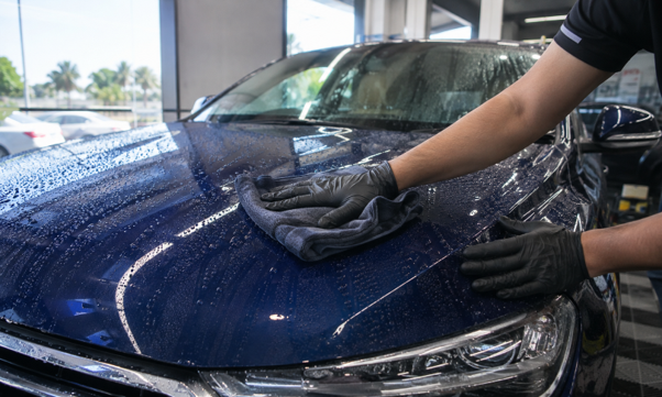 Detailer wiping a ceramic-coated blue car bonnet with visible water beading